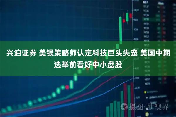 兴泊证券 美银策略师认定科技巨头失宠 美国中期选举前看好中小盘股