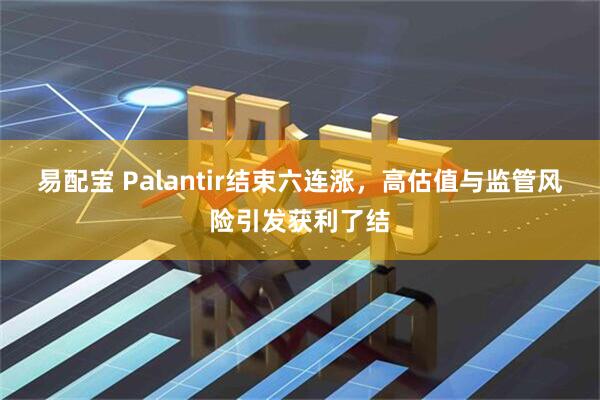 易配宝 Palantir结束六连涨，高估值与监管风险引发获利了结