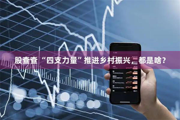 股查查 “四支力量”推进乡村振兴，都是啥？