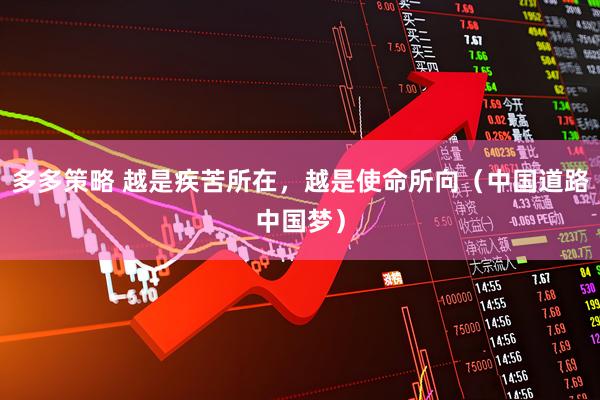 多多策略 越是疾苦所在，越是使命所向（中国道路中国梦）